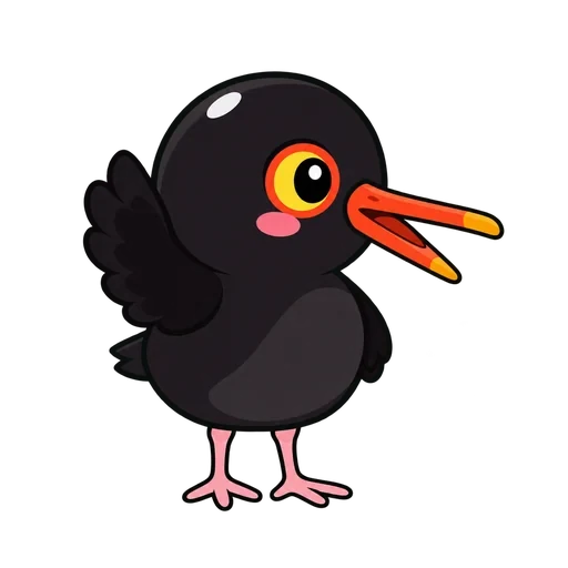 Kip the oystercatcher